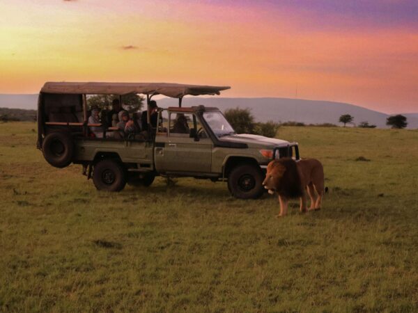 3 Days Luxury Fly -in Maasai Mara Safari