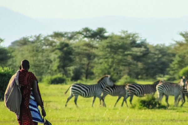 10-Days Kenya Safari Circuit – North to South Safari