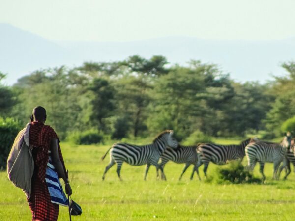 10-Days Kenya Safari Circuit – North to South Safari