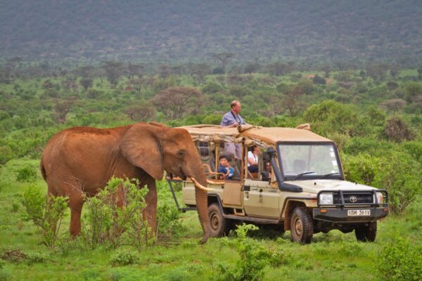 10-Days Kenya Safari Circuit – North to South Safari