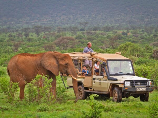 10-Days Kenya Safari Circuit – North to South Safari